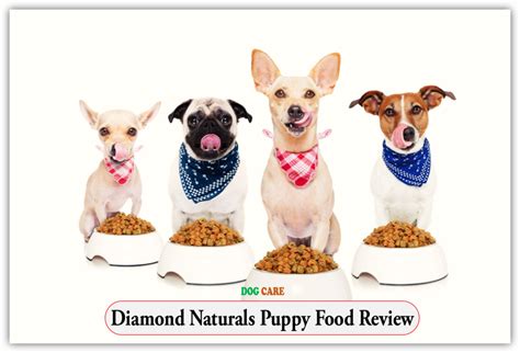 Diamond Naturals Puppy Food Review - Dog Care