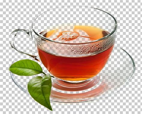 Maghrebi Mint Tea Beer Green Tea Mint Julep PNG Clipart Beer