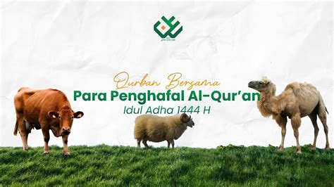 Qurban Bersama Para Penghafal Al Qur An Idul Adha H Ma Had Aly