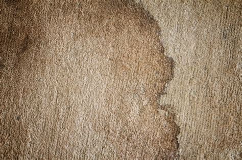 How Do I Remove Old Stains from Carpet?