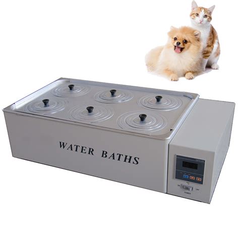 Portable Stainless Steel Six Wells Lab Circulating Water Cooler Bath