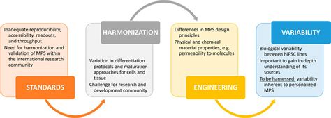 Frontiers Building Blocks Of Microphysiological System To Model