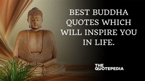 Best Buddha Quotes Which Will Inspire You In Life The QuotePedia