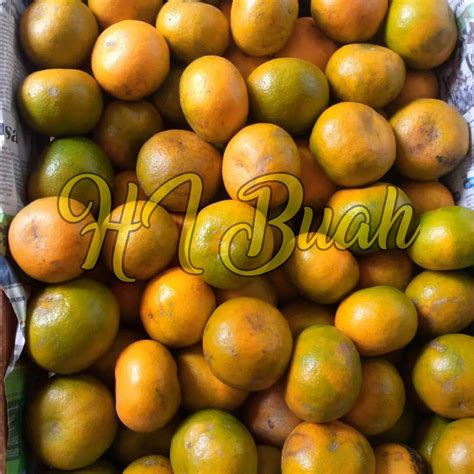 arti mimpi memetik buah jeruk manis 7