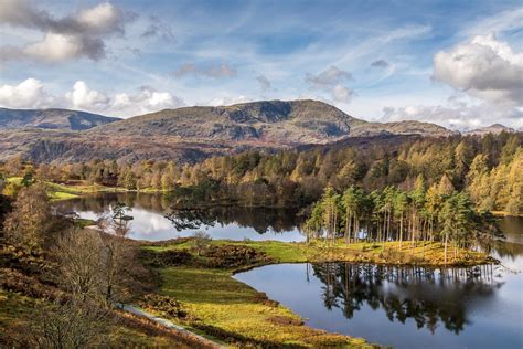 Tarn Hows Walk Walks From Coniston Lake District Walks