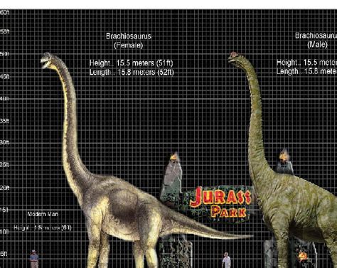 JP Dinosaur Size Chart pt-1 by PonchoFirewalker01 on DeviantArt