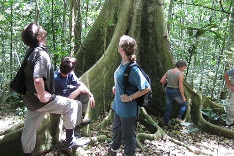 3 Day Uganda Gorilla Trekking Tour Eco Adventure Safaris