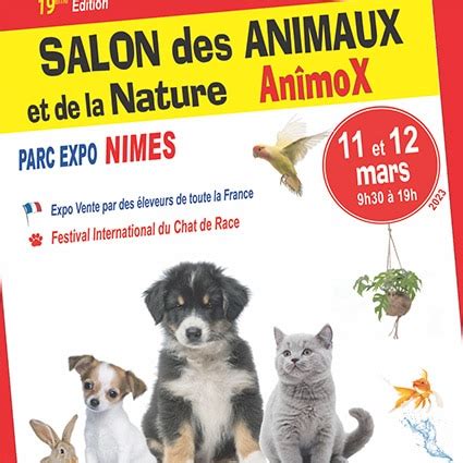 Animox Salon Des Animaux De N Mes Conseils V To En Photos