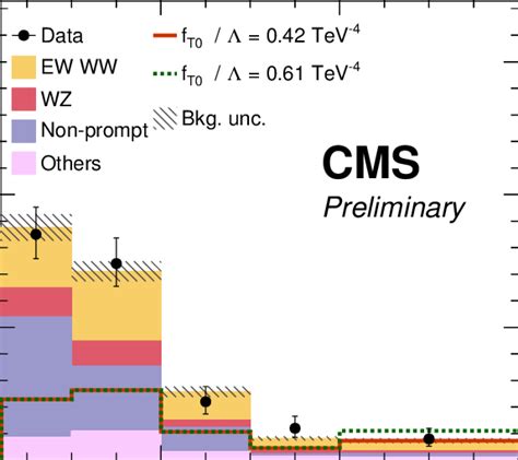 The Di Lepton Invariant Mass After Selecting Two Same Sign Leptons