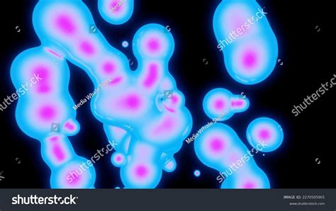 Paramecium Dividing Images Stock Photos Vectors Shutterstock