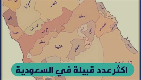 اكثر عدد قبيلة في السعودية الموقع المثالي