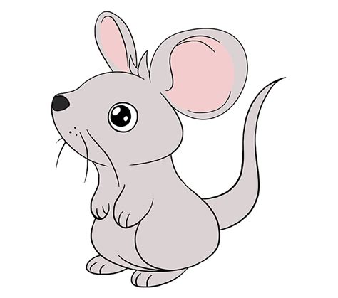 How To Draw A Cute Mouse