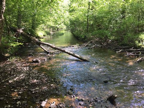 Teapots N’ Treasures Estate Sales Inside Hot Springs Village