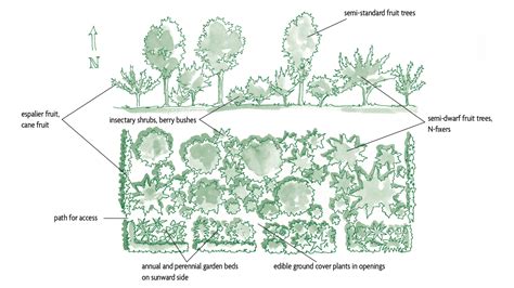 The Seven-Layer Forest Garden:Designing A Food Forest