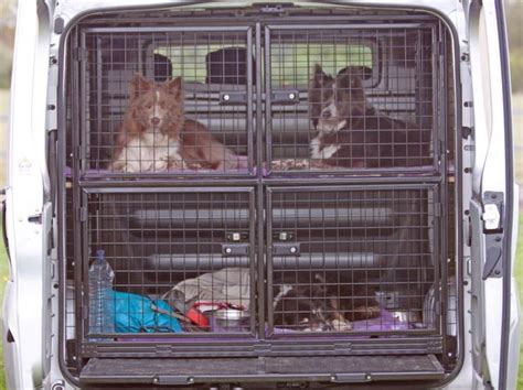 52 Best Dog Vans Images On Pinterest Dog Cages Campers And Dog Kennels