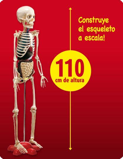 Colección El Cuerpo Humano de National Geographic