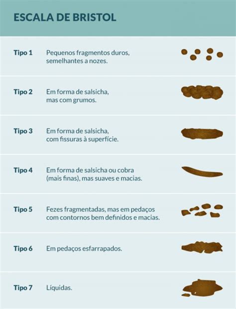É Possivel Vomitar Fezes - O que o formato das fezes indica? - HARU Saúde Integrada