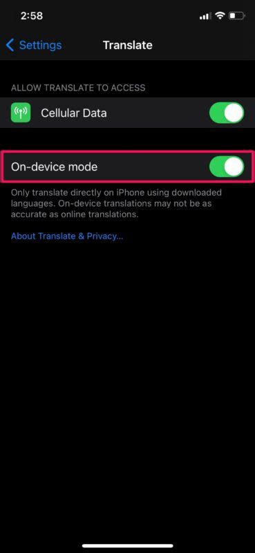 How To Enable On Device Translate Mode On Iphone