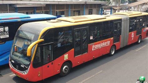 Dishub Dki Sebut Bus Zhong Tong Yang Beroperasi Lulus Uji Tipe Kemenhub