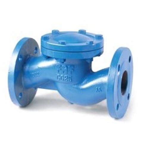 Lift Check Valve Sonali Traders