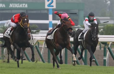 【中山4r・障害未勝利】ランドオブリバティ逸走再び競走中止 競馬ニュースなら競馬のおはなし