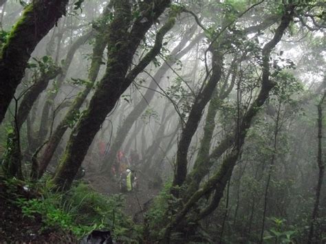 Ini Dia Deretan Misteri Mitos Dan Fakta Seputar Gunung Gede Pangrango