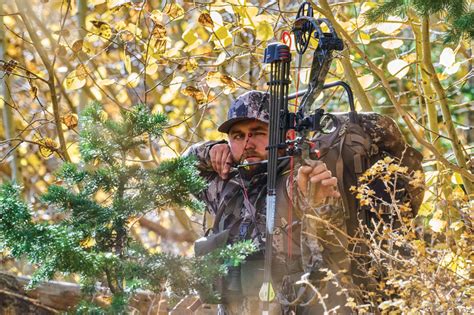 Guide to Compound Bows | Bass Pro Shops