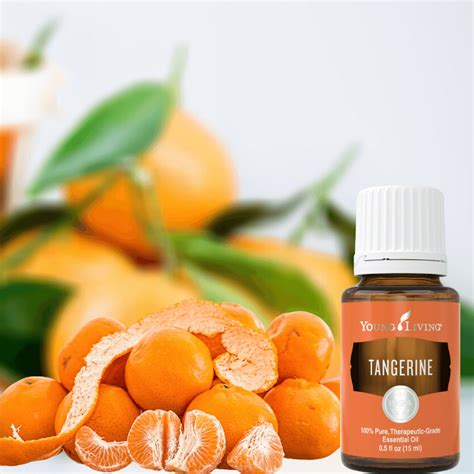 Tangerine Essential Oil - Welchwear.com