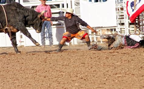 Rodeo Bull Riding editorial photography. Image of athlete - 20958167