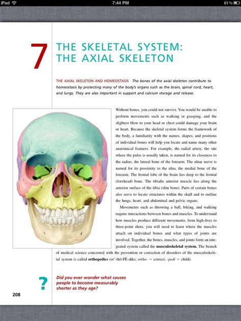 Principles Of Anatomy And Physiology Chapter 7 The Skeletal System The Axial Skeleton 1