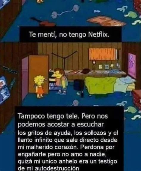 Te Ment No Tengo Netflix Tampoco Tengo Tele Pero Nos Podemos