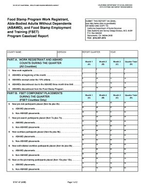 Fillable Online Dss Cahwnet STAT 47 4 06 Form Instructions And