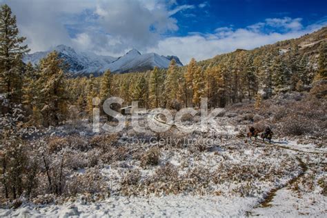 Altai Mountains Stock Photo | Royalty-Free | FreeImages