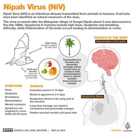 Nipah virus outbreak kills 10 in India | Poverty and Development News ...