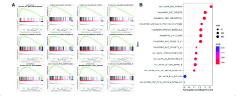 Gene Set Enrichment Analysis Gsea Between High And Low Autophagy