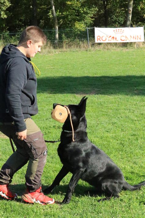 Amandine Educ Canin Ducatrice Canine Dans L Oise Goincourt