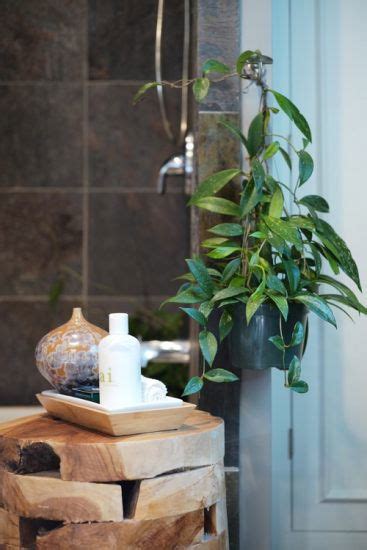 Best Indoor Plants For Bathroom Balcony Garden Web