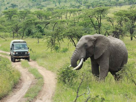 Get To Know Burigi Chato National Park Tanzania Safaris Tours