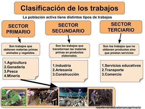 Ejemplos de actividades económicas terciarias Diario Nacional 2025