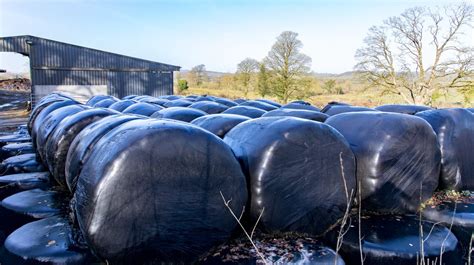 Round Bale Silage Selling For As High As 60 Bale In Places