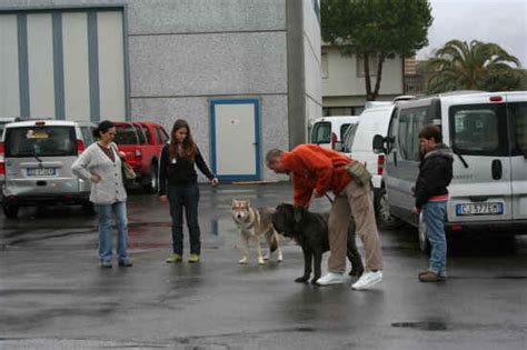 Album Foto Esposizione Canina Di Massa Carrara