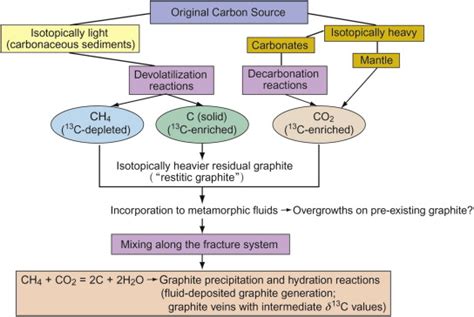 Schematic Diagram Depicting The Processes Of Carbon Isotope