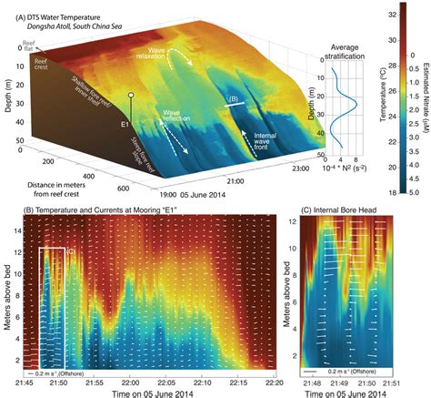 Nonlinear Internal Waves On The Inner Shelf A Example Of DTS Data