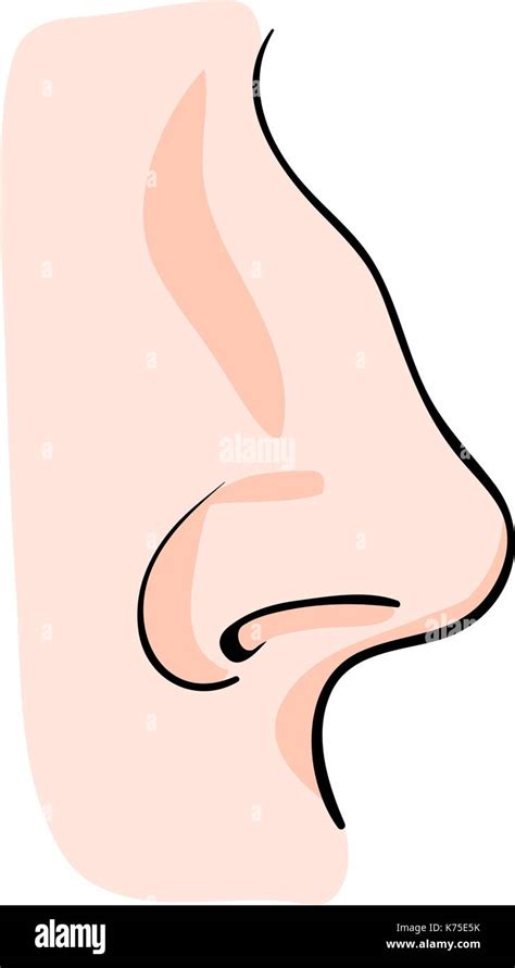 Cartoon Nose Vector Symbol Icon Design Beautiful Illustration Isolated On White Background