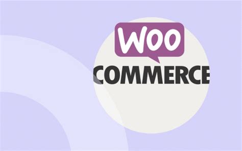 Edit In Bulk The Best WooCommerce Plugins