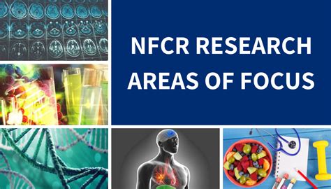 Areas Of Focus National Foundation For Cancer Research