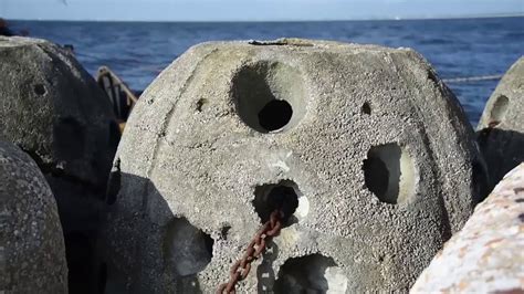 Concrete Reef Balls Create Underwater Habitats Off Coast Of Florida