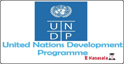 United Nations Development Programme Technical Assistant