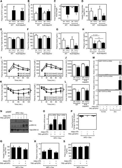 FGF21 Regulates Metabolism Through Adipose-Dependent and -Independent ...