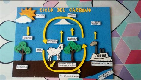 Maqueta Del Ciclo De Carbono Ciclo Del Carbono Teclado Del